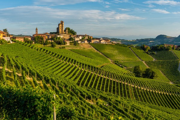 Monforte d'Alba, Langhe