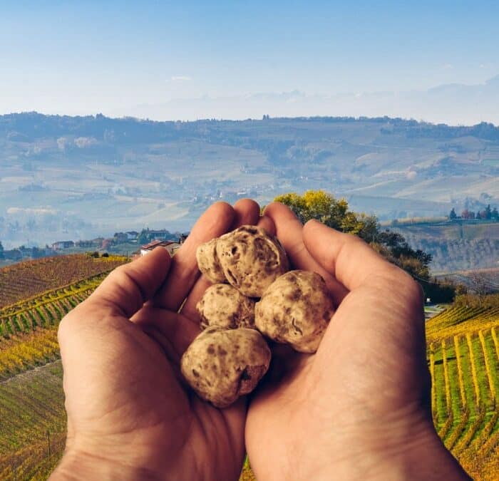 Truffle hunting