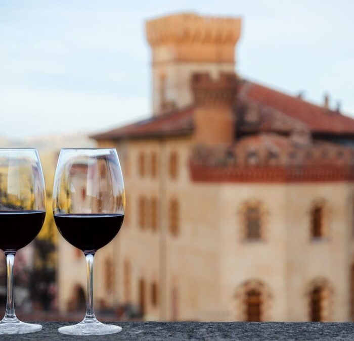 Wine tastings and vineyard visits